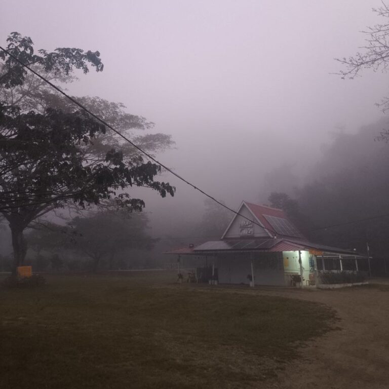 marilaque-camp-foggy-morning-tanay-rizal.jpg